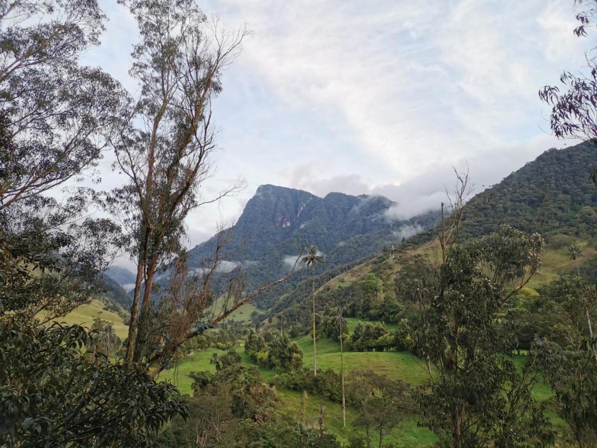 Valle Del Cocora La Truchera Chalet *