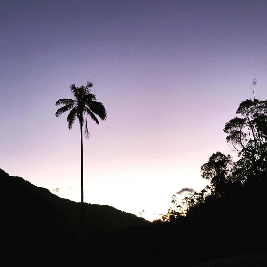 Valle Del Cocora La Truchera * Salento