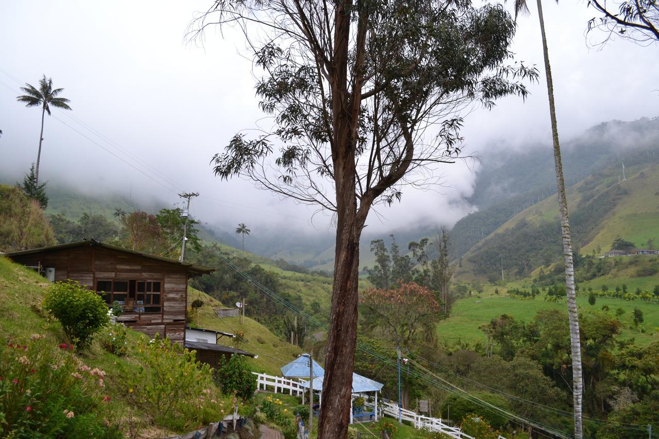 Valle Del Cocora La Truchera Chalet
