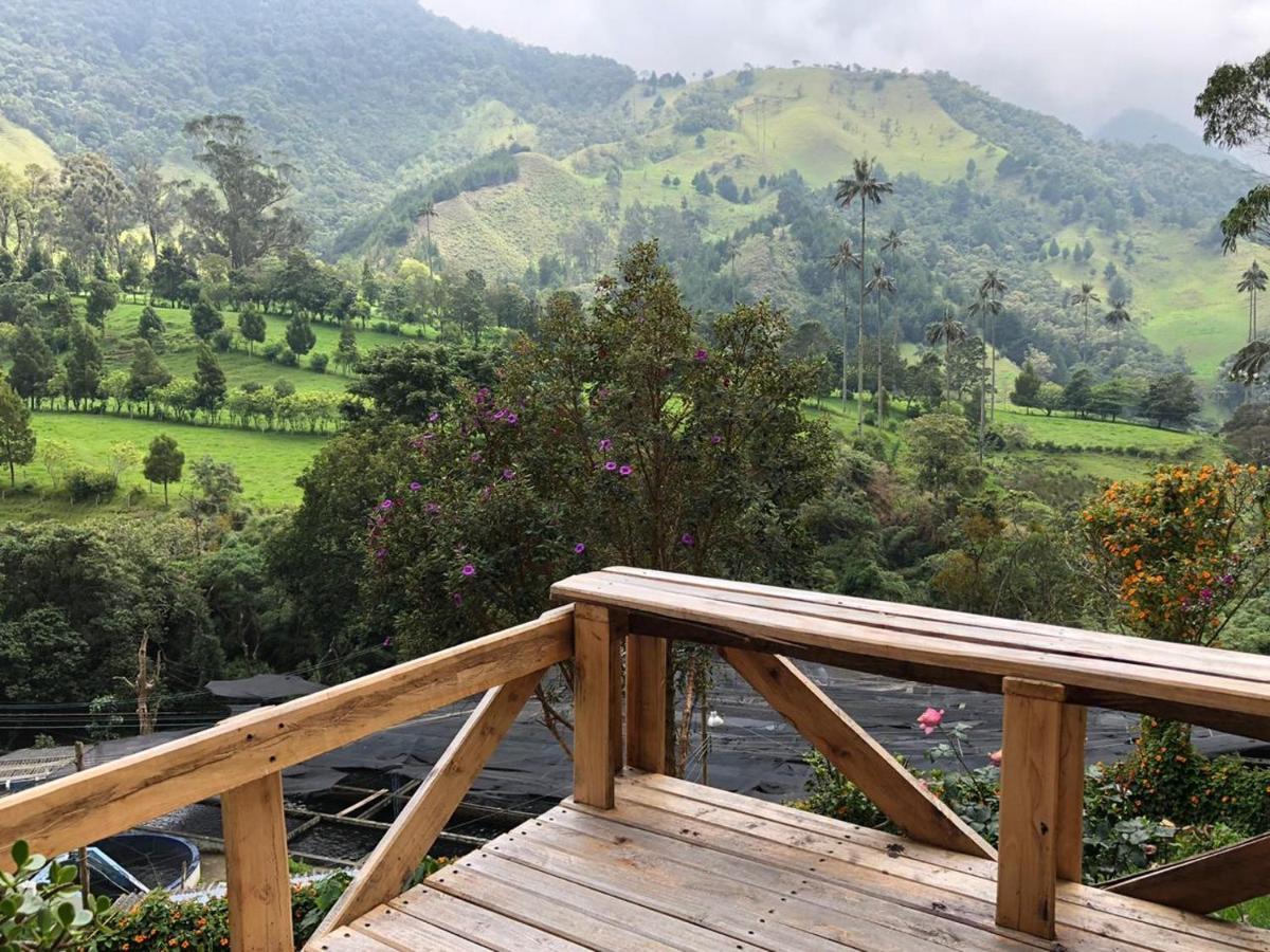 Valle Del Cocora La Truchera