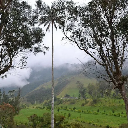 Cabañas Valle del Cocora La Truchera Salento Exterior foto