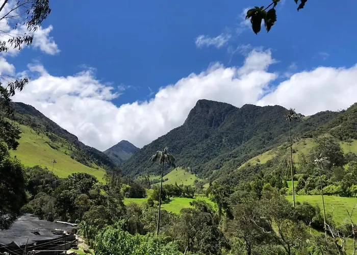 Cabanas Valle Del Cocora La Truchera