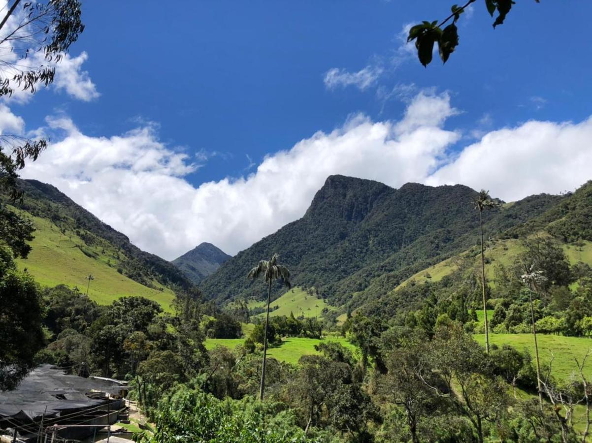 Valle Del Cocora La Truchera Salento