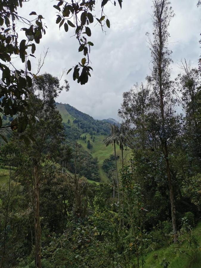 Valle Del Cocora La Truchera Chalet *