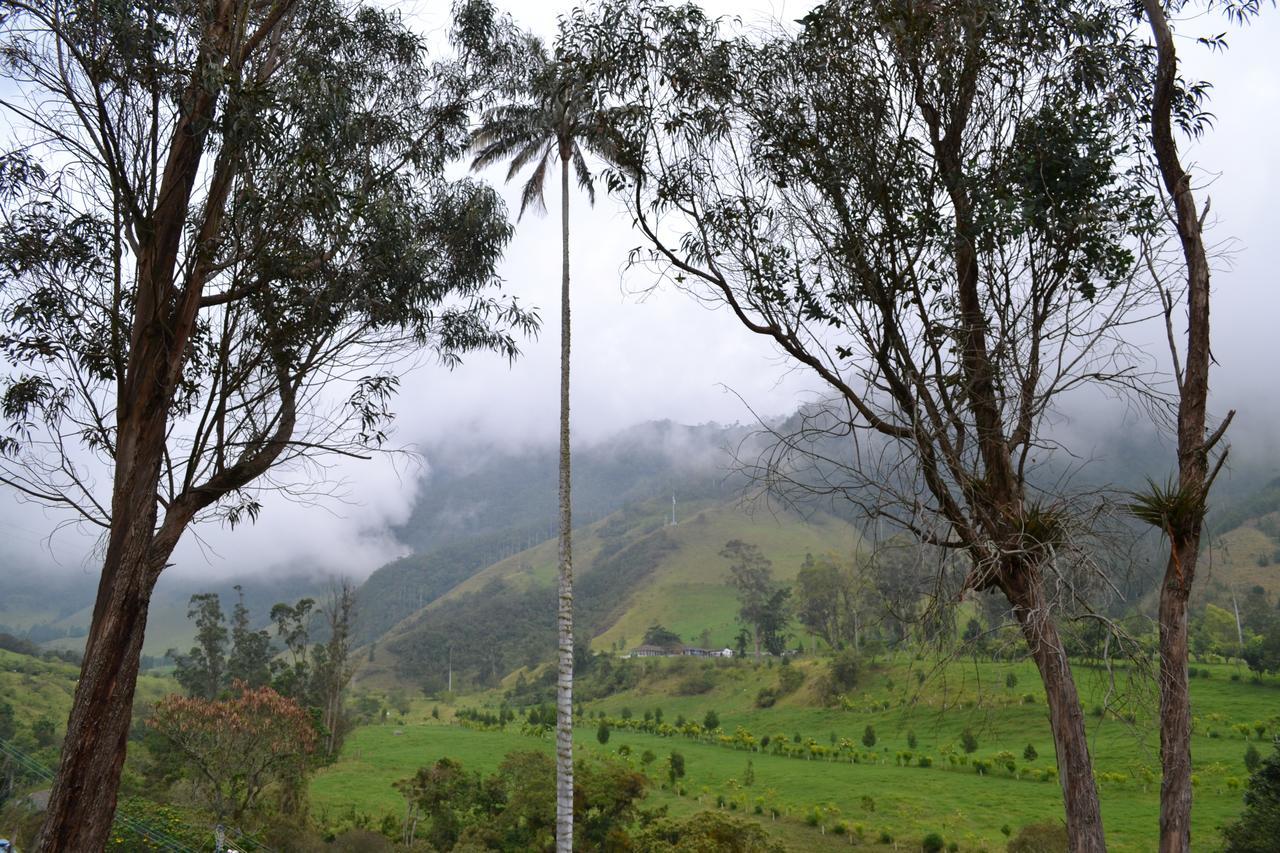 Valle Del Cocora La Truchera * Salento