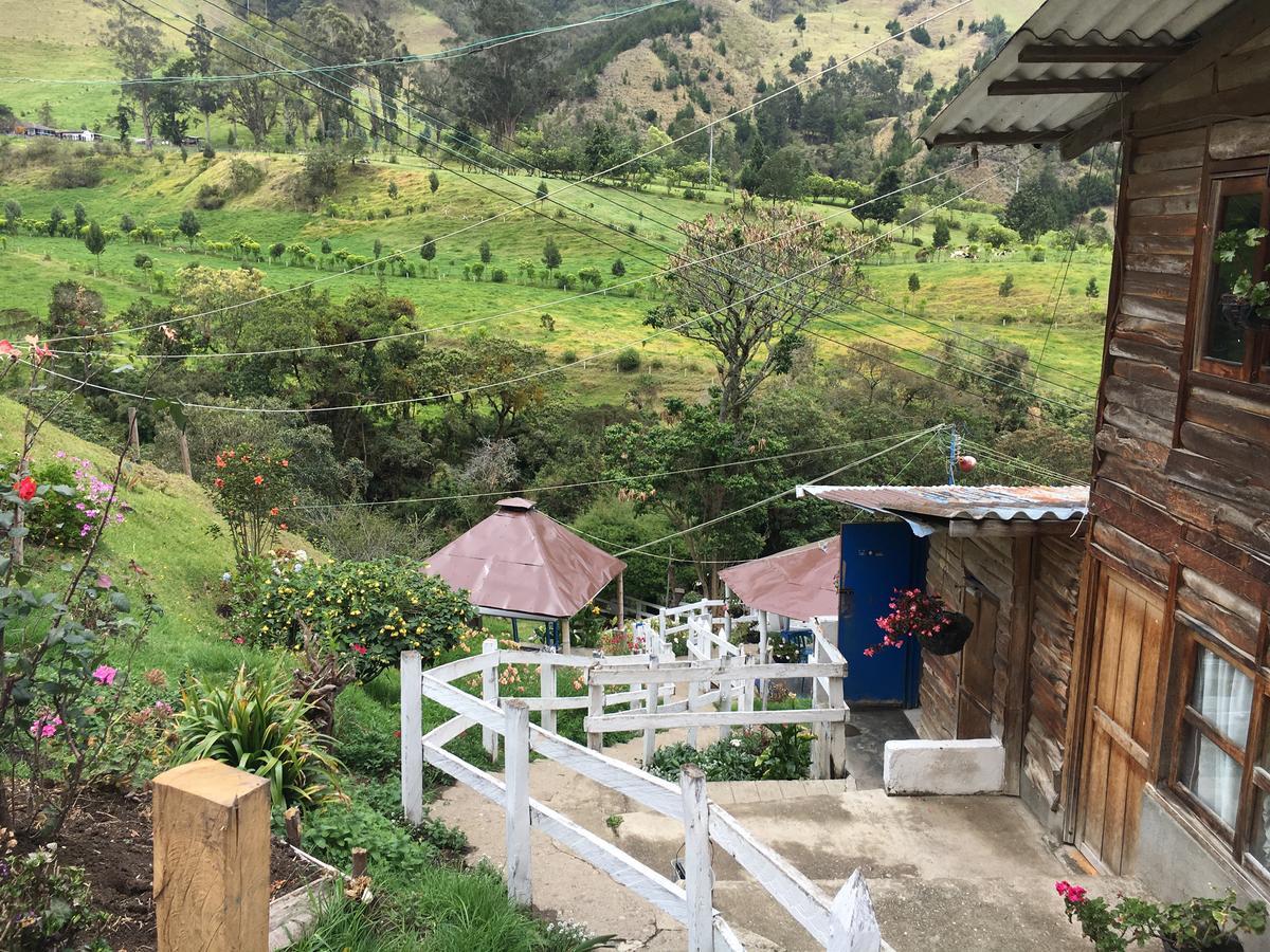 Valle Del Cocora La Truchera Salento