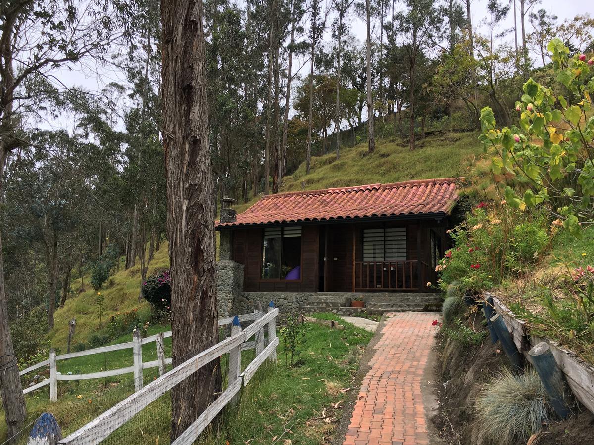 Valle Del Cocora La Truchera