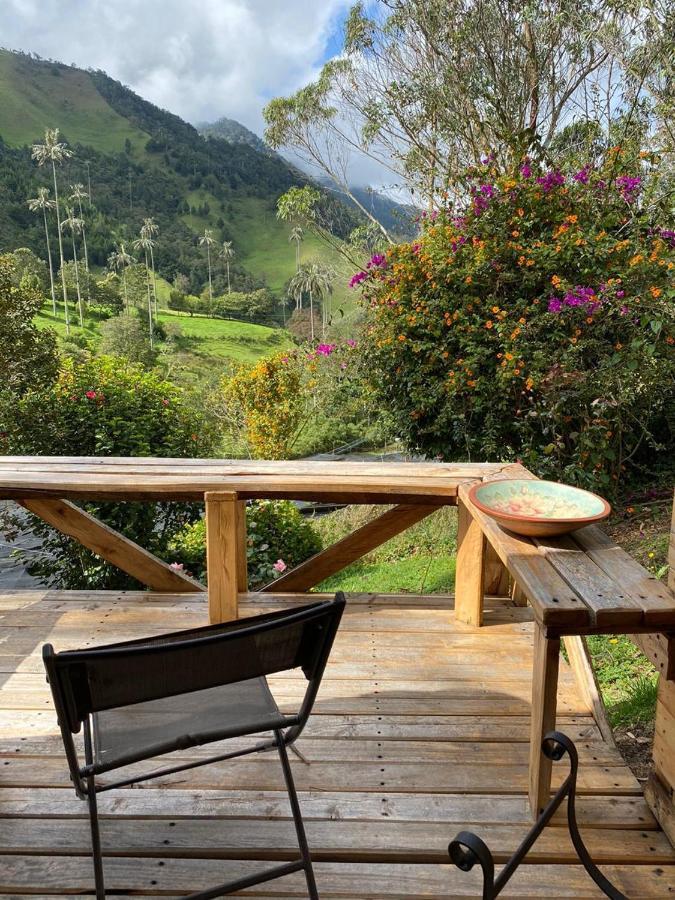 Valle Del Cocora La Truchera Chalet