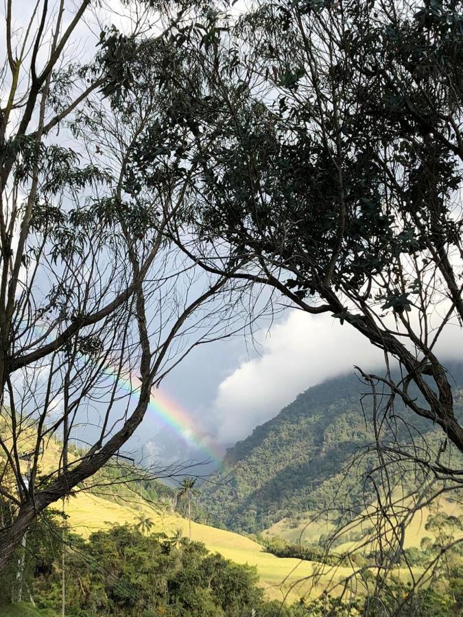Valle Del Cocora La Truchera