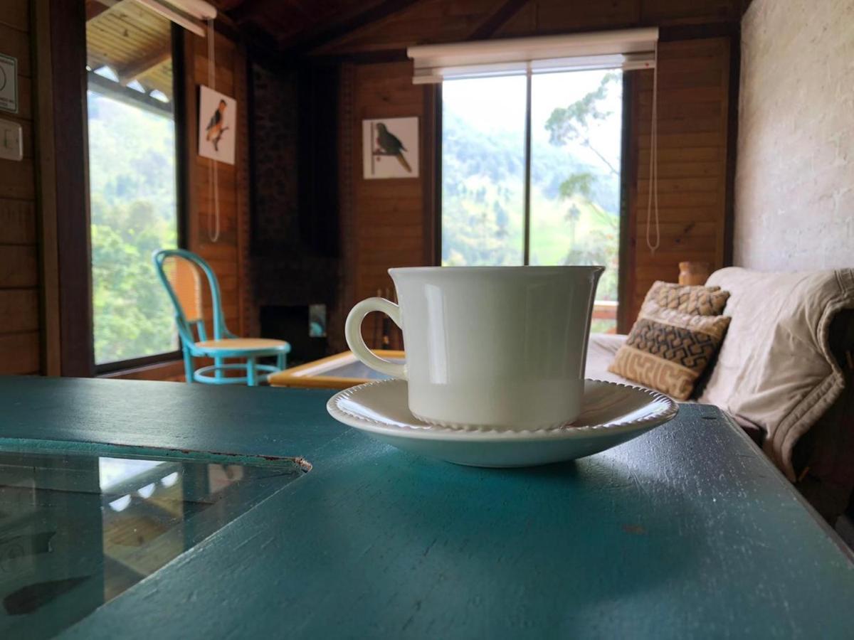 Chalet Valle Del Cocora La Truchera *