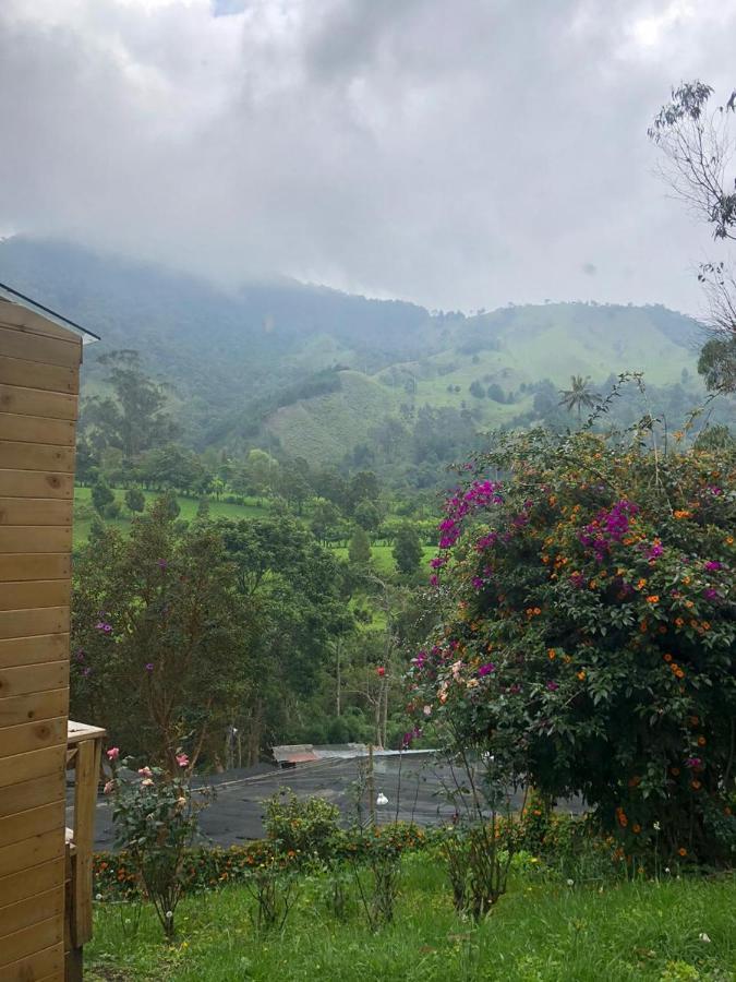 Valle Del Cocora La Truchera *